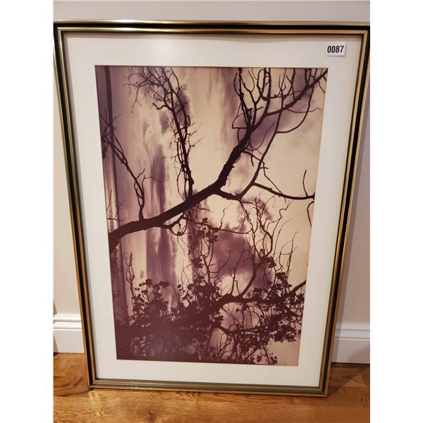 Large framed Print