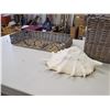 Image 4 : Decorative Baskets and Large Seashell
