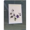 Image 5 : Framed Watercolors