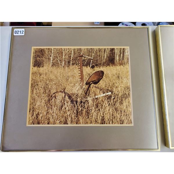 Set of 2 Framed Prints