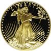 Image 1 : 1993-W G$50 One-Ounce Gold Eagle Deep Cameo PR69 PCGS