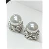 Image 2 : Stunning Pearl and silver ladies earring set NEW