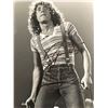 Image 1 : The Who Roger Daltrey signed photo
