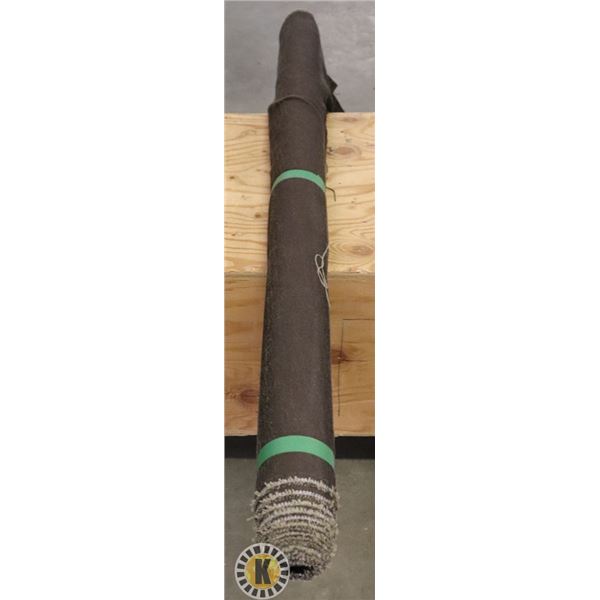 MOMENTUM ASANA STORM