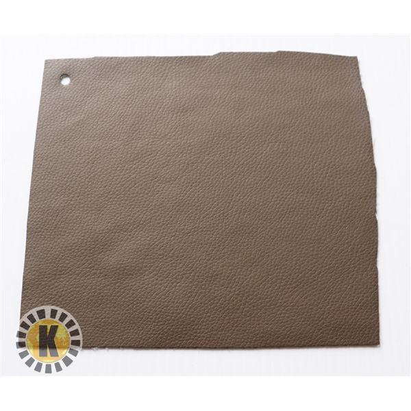 MOMENTUM CANTER TAWAY