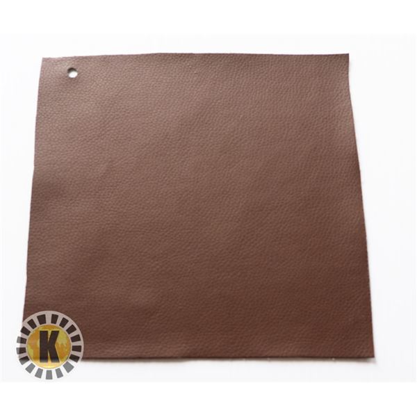 JENNIS TURNER 84 EARTH