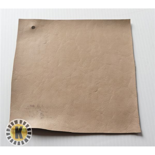 CF STINSON GRAND SIERRA BISCUIT