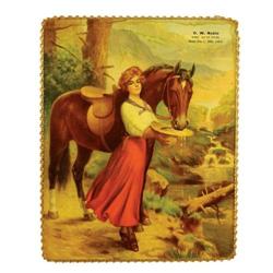 O.W. Noble Glass Chain Hanging Sign