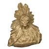 Image 1 : Western Americana Native American Bust