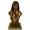Image 1 : Native American Bronze Bust