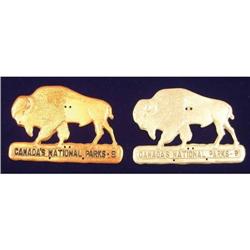 2 Canadian National Parks Yearly Passes