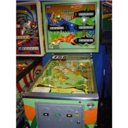 Chicago Coin's Big Valley pinball machine