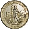 Two 1881 New Jersey Agricultural Medals