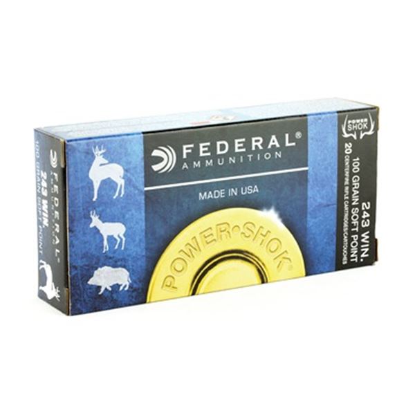 FED PWRSHK 243WIN 100GR SP - 20 Rds