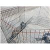 Image 3 : Animal Crate/ Pen