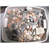 Image 1 : Bin of Rocks, Shells, and Beach Glass
