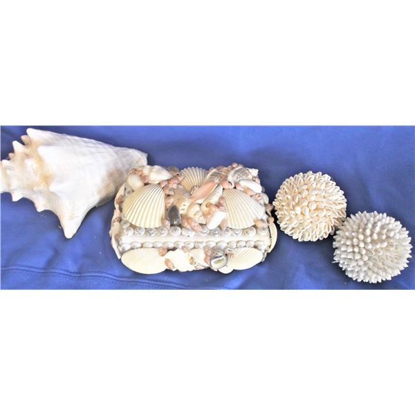 Seashell Decor