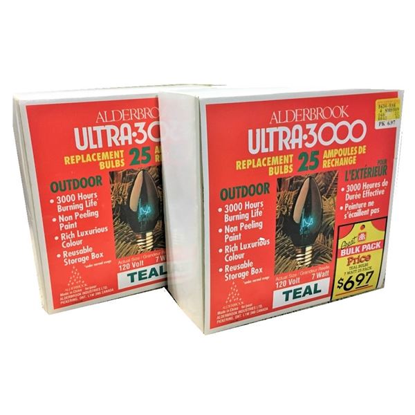 FIFTY Teal Christmas Lights