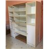 Image 1 : Large Cabinet with Lots of Storage Space