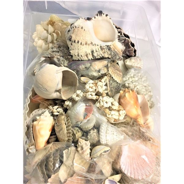 Bin of Shells