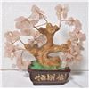 Image 1 : Gem Bonsai Tree