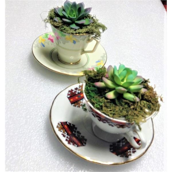 Faux Succulents in Tea Cups