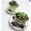 Image 1 : Faux Succulents in Tea Cups
