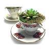 Image 2 : Faux Succulents in Tea Cups