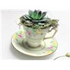 Image 3 : Faux Succulents in Tea Cups