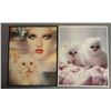 Image 1 : Two Cat Posters in Frames, 20" x 16"