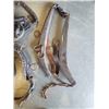 Image 8 : LOT OF HORSE TACK AND VINTAGE LEATHER SADDLE