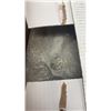 Image 3 : 3 BOXES COMPLIMENTS UNSCENTED SCOOPABLE CAT LITTER