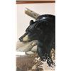 Image 2 : LEP 87/150 SIGNED BY WILF WARKENTIN 17.5" X 21.5"