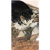 Image 5 : LEP 87/150 SIGNED BY WILF WARKENTIN 17.5" X 21.5"