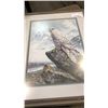 Image 1 : LEP 124/250 FALCON SIGNED BY ALAN HUNT 22" X26.5