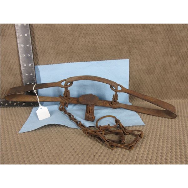 Oneida Community No. 2 ???  Trap