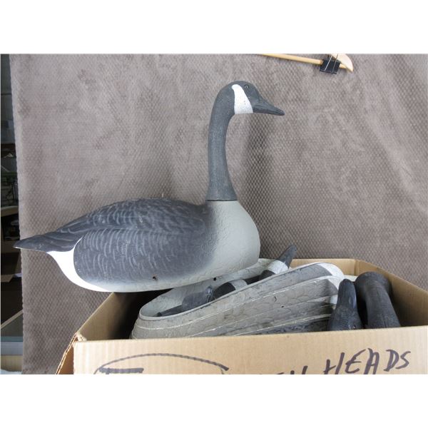 15 Canada Goose Decoys with Stands