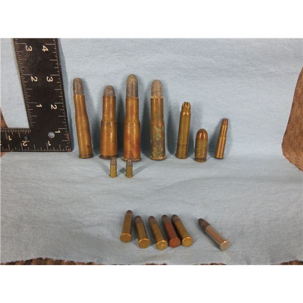 Selection of Collector Shells and Misc. Shells