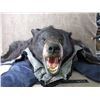Image 6 : Black Bear Rug - Appears to be in good condition