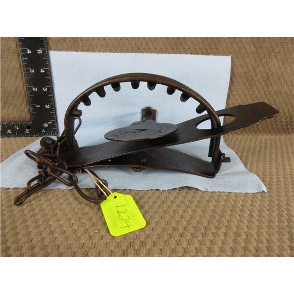 Oneida Jump #4 Trap With Teeth