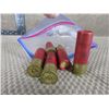 Image 1 : 10 Ga 3" Bag of 5 - Winchester, 3 - #6, 2 - #4