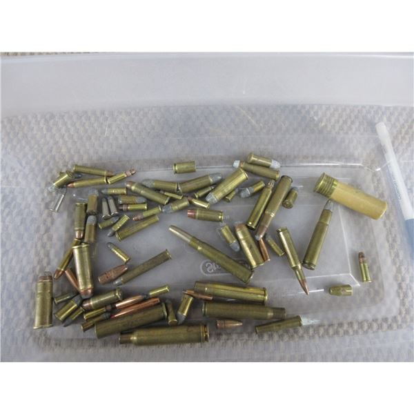 50 or More Various Pistol, Rimfire and Rifle Cartridges
