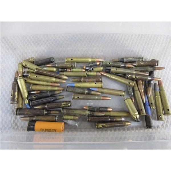 50 or More Various Inert Cartridges