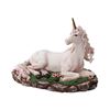 Image 1 : UNICORN