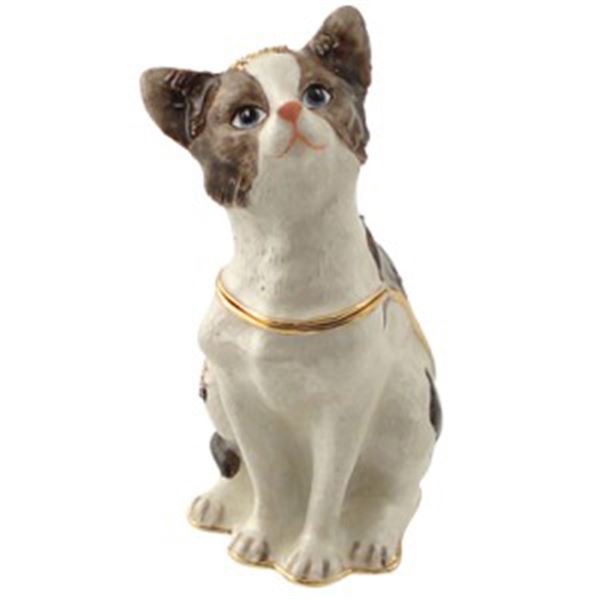 AMERICAN SHORTHAIR JEWELED BOX