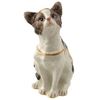 AMERICAN SHORTHAIR JEWELED BOX