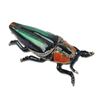 Image 1 : BUG JEWELRY BOX