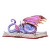 Image 1 : BOOK WYRM