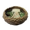 Image 1 : BIRD NEST PLANTER DISPLAY