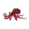 Image 1 : OCTOPUS